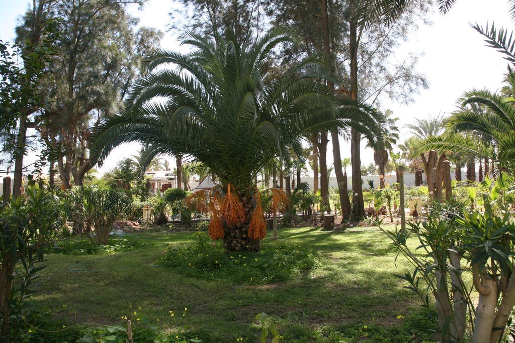 Hammamet Regency Hotel Екстер'єр фото